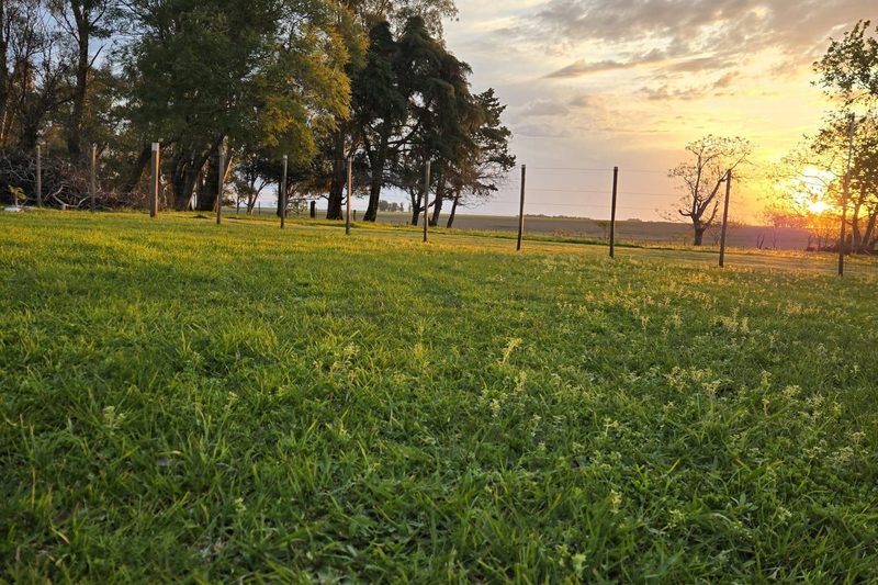 Atardecer en un campo de Salto, Uruguay, con un alambrado